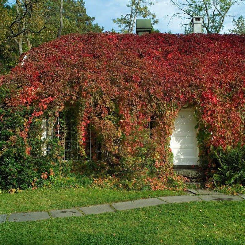 Engo Gard Hotel & Restaurant Tjøme Eksteriør billede